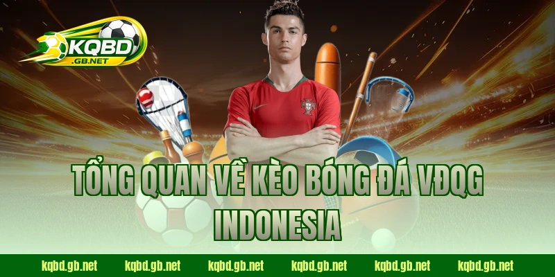 Tổng quan về kèo bóng đá VĐQG Indonesia